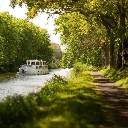 Maison Proche De La Cite Avec Jardin